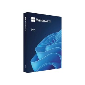 WINDOWS 11 PRO 64 BIT (FPP, HAV-00163) - Image 2