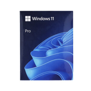 WINDOWS 11 PRO 64 BIT (FPP, HAV-00163) - Image 4