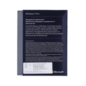 WINDOWS 11 PRO 64 BIT (FPP, HAV-00163) - Image 3