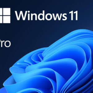 WINDOWS 11 PRO 64 BIT (FPP, HAV-00163) - Image 1